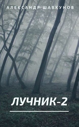 Лучник. Книга 2