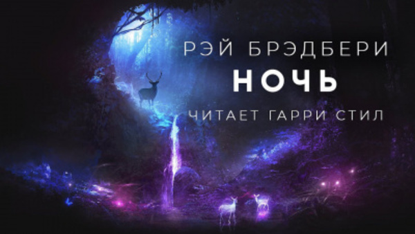 Ночь