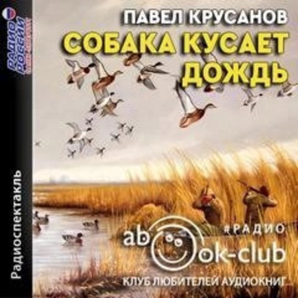 Собака кусает дождь